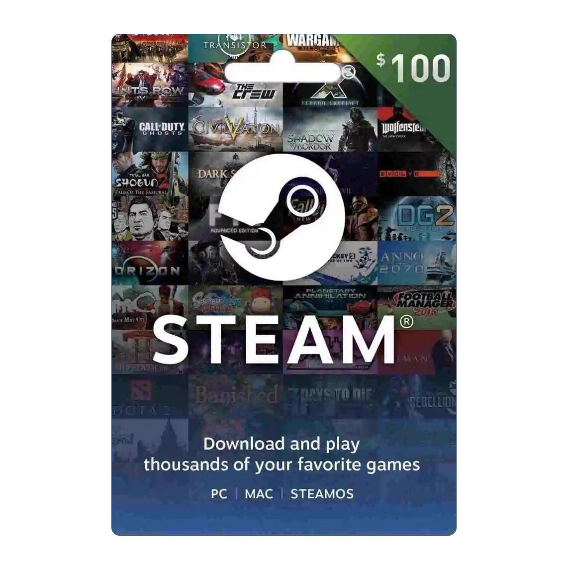 Steam Gift Card 100$ - USA (SMS Delivery)