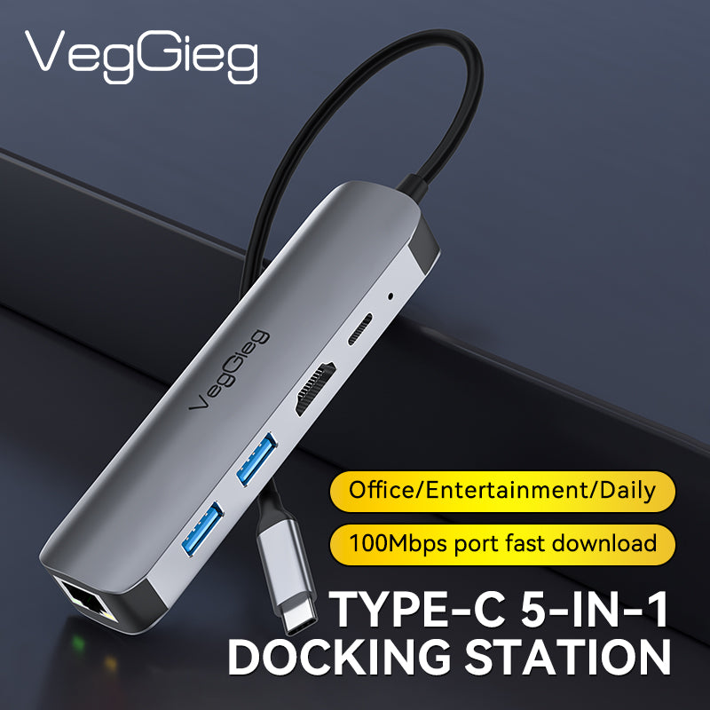 VegGieg Type-C to HDMI+USB3.0*1+USB2.0+RJ45 100Mbps+PD(100W) 5-in-1 Docking Station Model V-TC05R