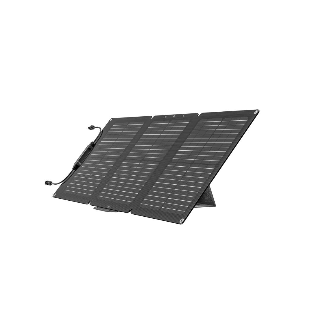 EcoFlow 60W Portable Solar Panel (Type-C )