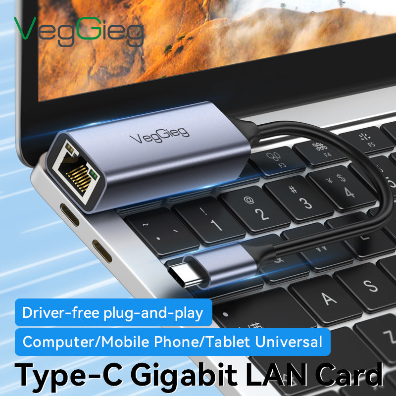 VegGieg Type-C to 1000Mbps Gigabit Ethernet Lan Adapter with lamp Model V-K308