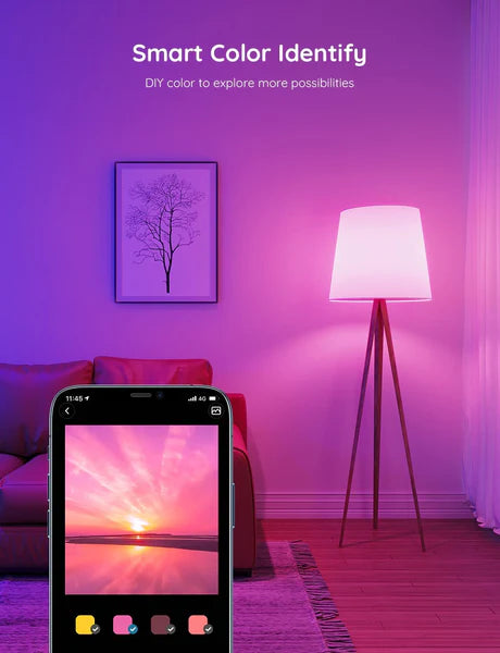Govee Smart Wifi&BLE Light Bulb 800lm - H6004