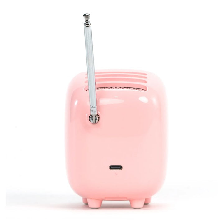 مكبر الصوت الصغير بلوتوث ديفووم تيفوو-2 مع ألبوم صور وكلمات الأغاني - وردي