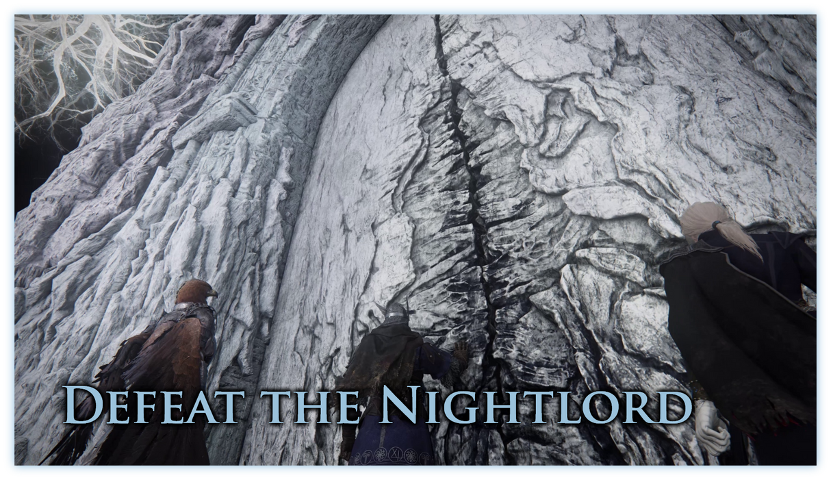 Elden Ring Nightreign for PlayStation 5 EU