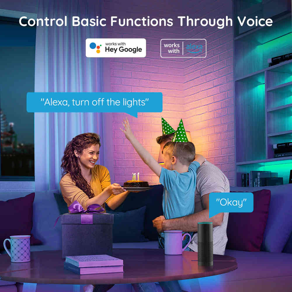 Govee Wi-Fi RGB LED Strip Lights (16.4ft(5M)× 2 Rolls) - H6110