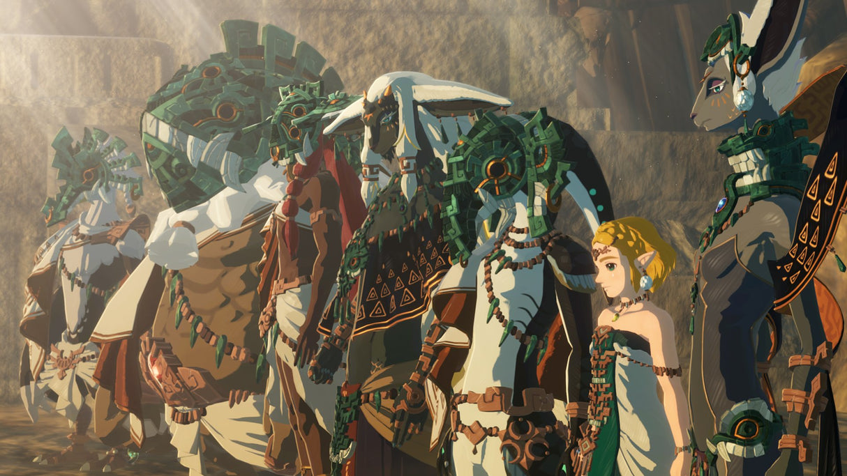 Hyrule Warriors age of imprisonment For Nintendo Switch 2