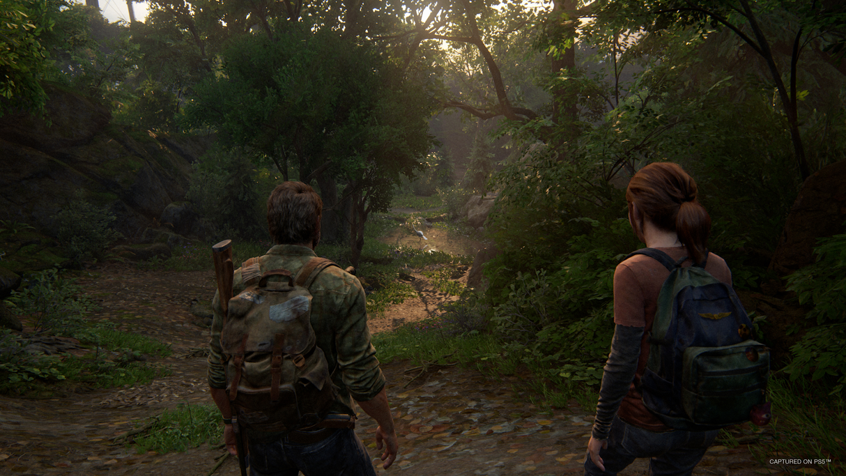The Last of Us Part I PS5