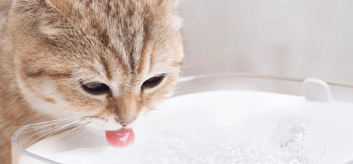 Xiaomi Smart Pet Fountain 2