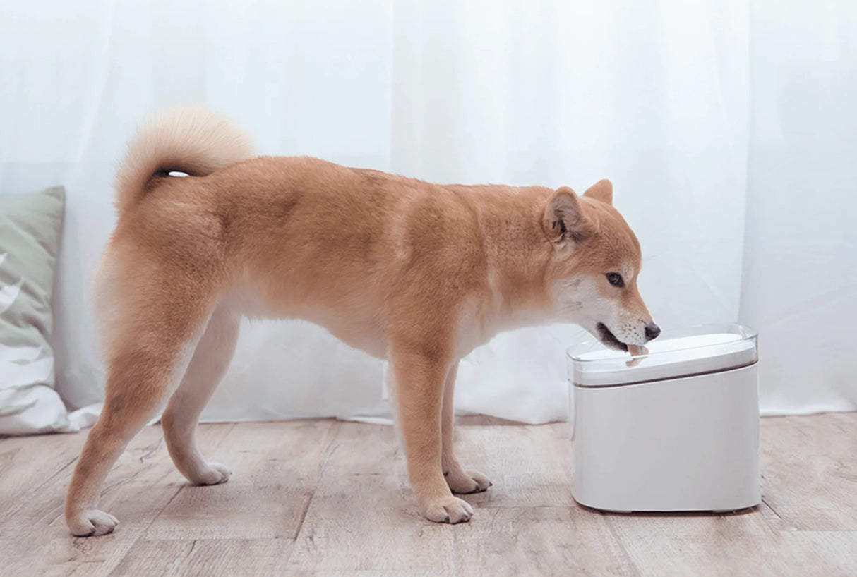 Xiaomi Smart Pet Fountain 2