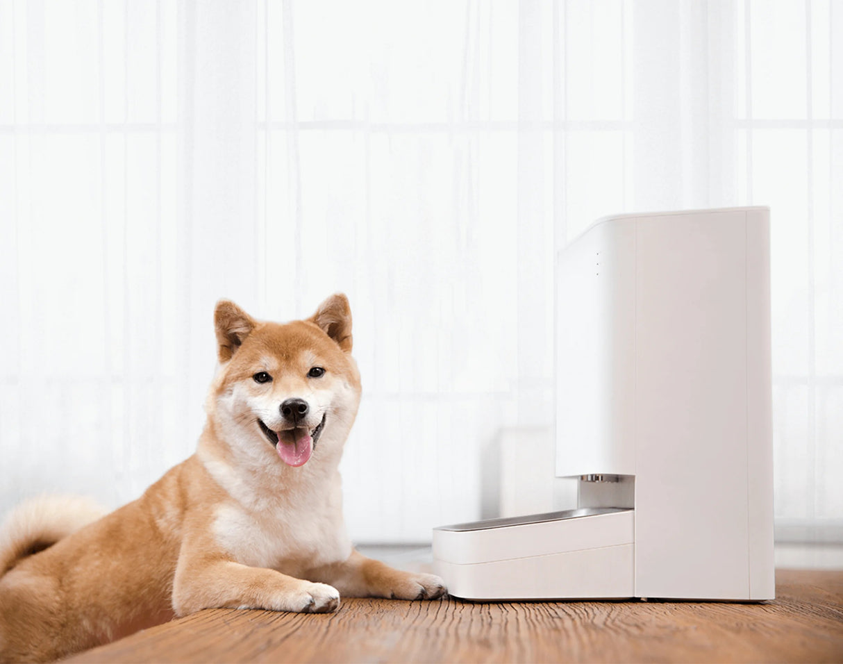 Xiaomi Smart Pet Food Feeder 2 UK