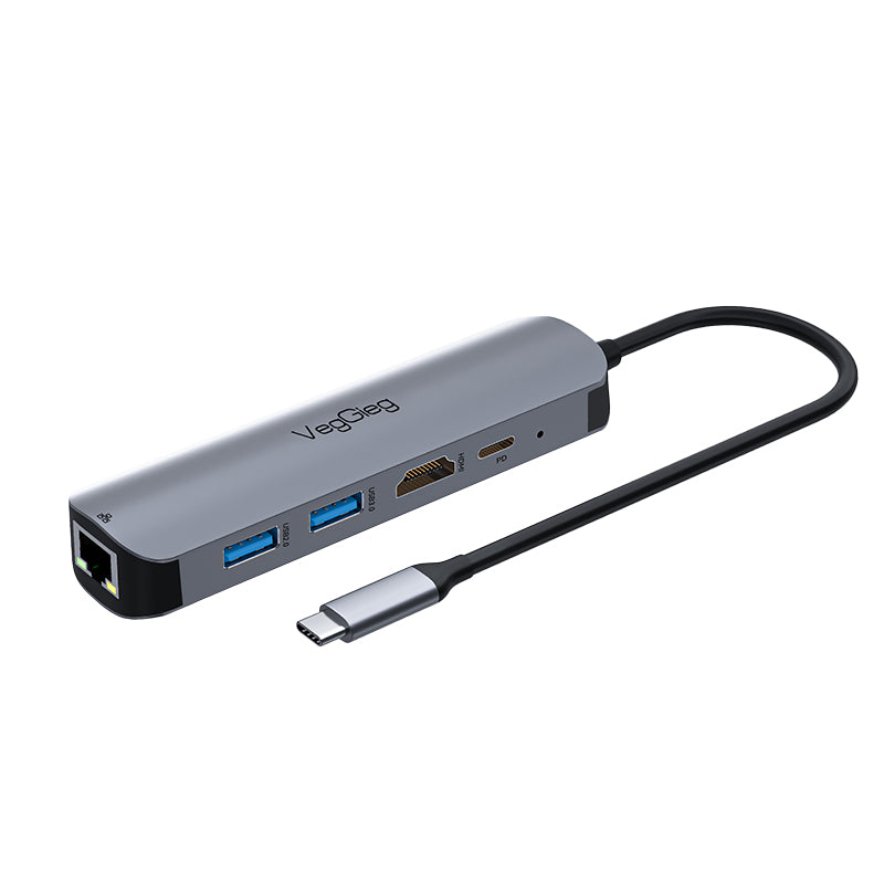 VegGieg Type-C to HDMI+USB3.0*1+USB2.0+RJ45 100Mbps+PD(100W) 5-in-1 Docking Station Model V-TC05R