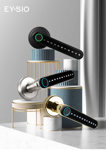 Oraxel Smart Door Lock (EY-S101)