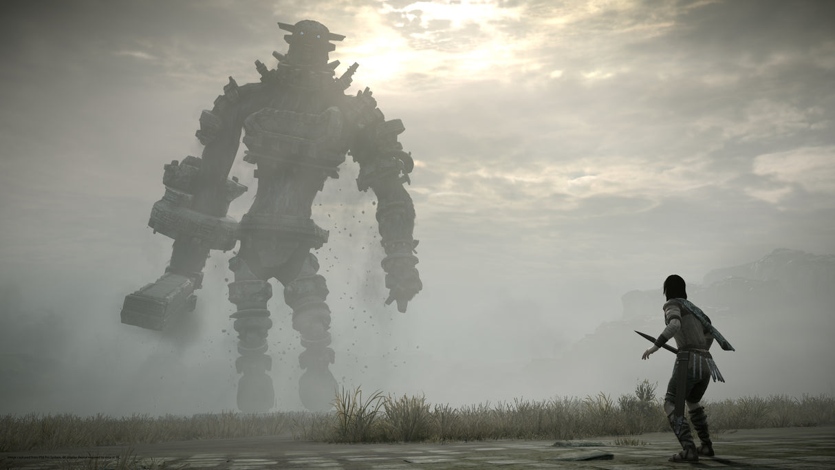 Shadow of colossus For PlayStation 4 EU