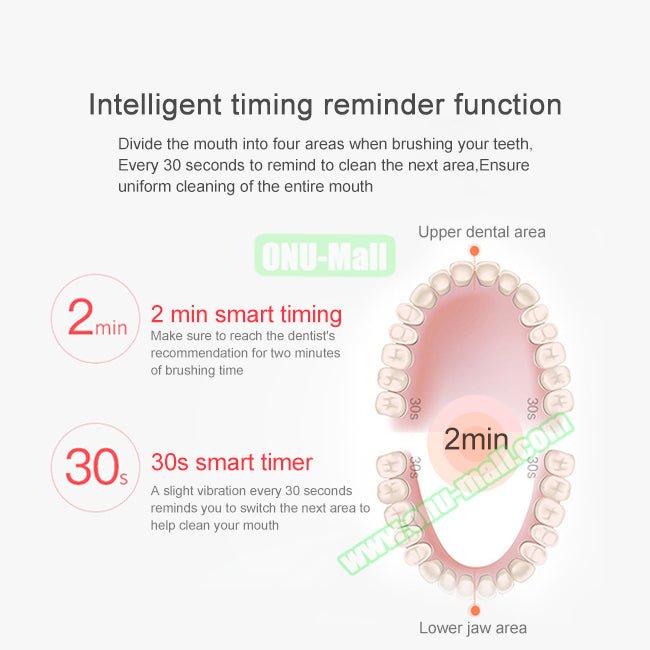 CintyB Sonic Electric Toothbrush - Level UpSonicToothbrushes20291