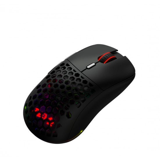 Devo Wireless Gaming Mouse Littwo RGB 73g - Black - Level UpDevoPC Accessories6084014210956