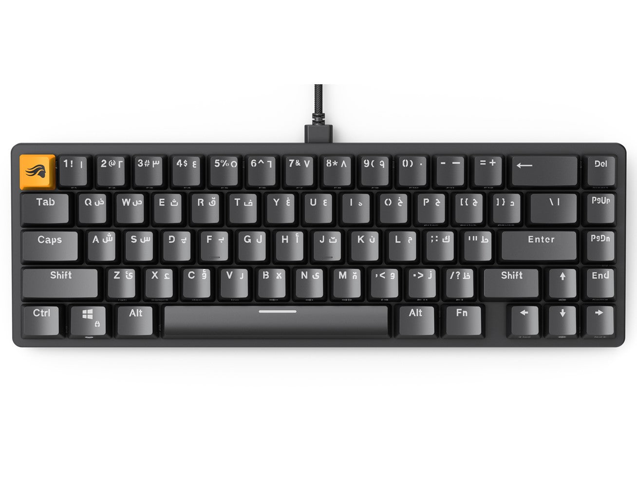 Glorious GMMK2 65% Pre-Built ANSI Wired RGB Mechanical Gaming Keyboard (Supporting Arabic Layout) - Black - Level UpGloriousPC Gaming Accessories810069975146