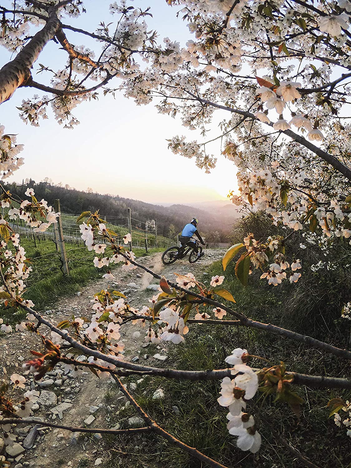 GoPro HERO9 Black - Level UpGoProCamera