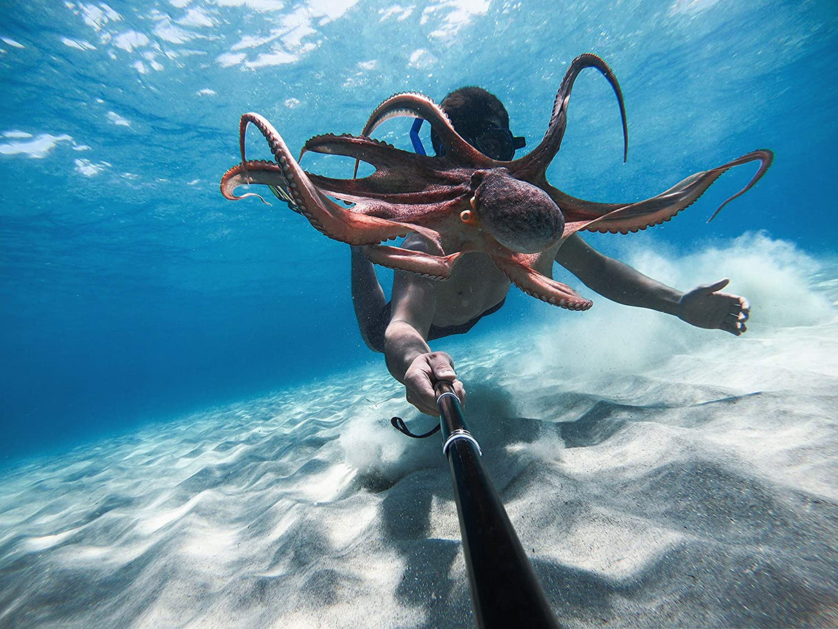 GoPro HERO9 Black - Level UpGoProCamera