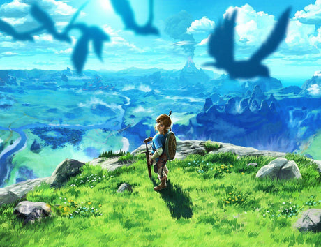 The Legend of Zelda Breath of the Wild For Nintendo Switch