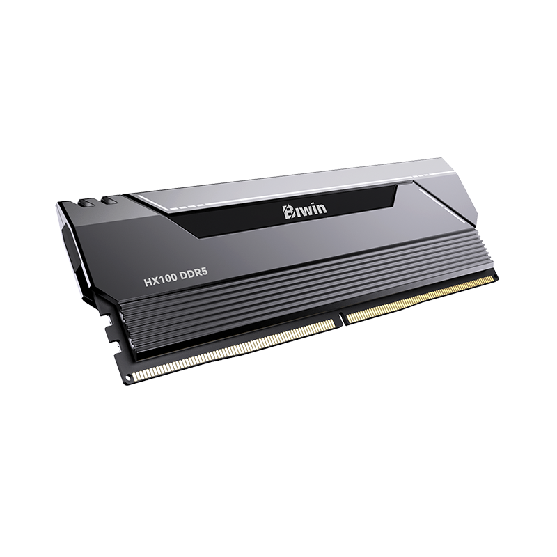 Black Opal HX100 DDR5 Heatsink Memory-Black