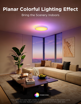 Govee 38cm RGBICWW Smart Ceiling Light Pro - H60A6