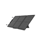 EcoFlow 60W Portable Solar Panel (Type-C )