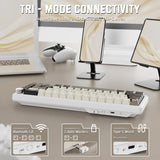 ATTACK SHARK X66 60% Wireless Mechanical Keyboard with Side Printed PBT Keycaps - Cheese White (Arabic)