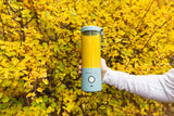 BlendJet V2 Portable Blender - Glacier