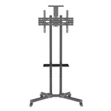 WANSA TV Cart with Camera, Fits 32 - 75 Inches, 50kg Loading Capacity, T014