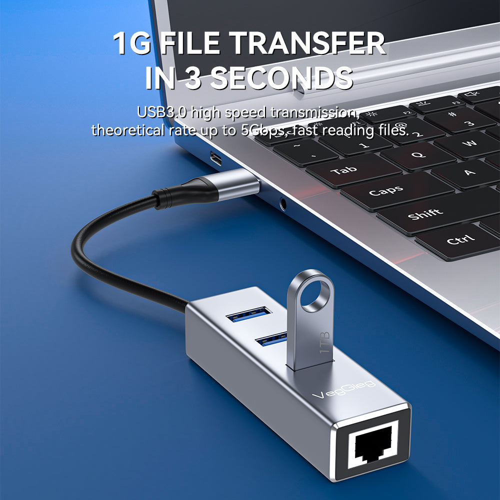 VegGieg USB/Type-C 3.0 2in1 Gigabit Lan Adapter with 3.0*3  HUB Model V-K310
