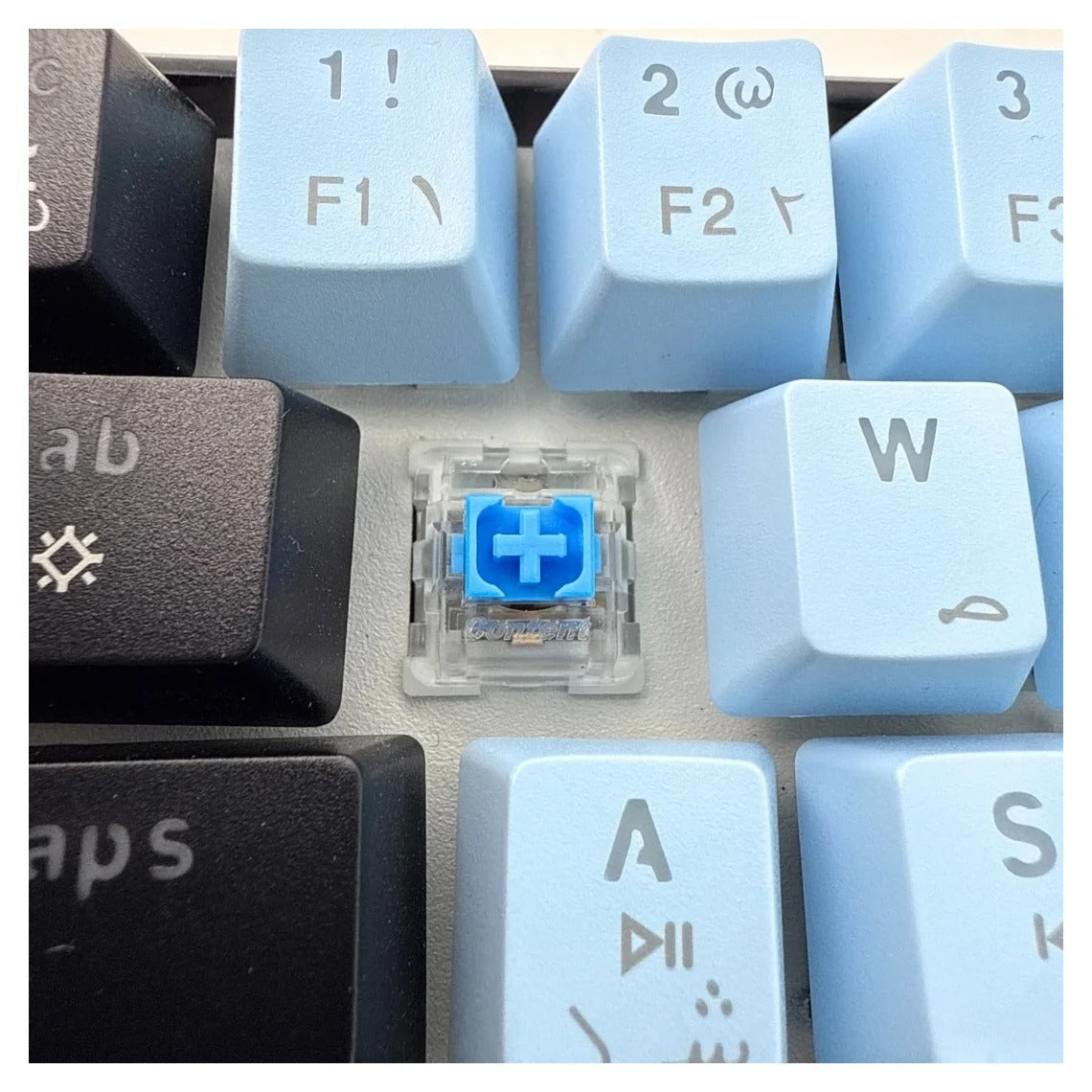 SKYLiON RGB Wireless Mechanical Keyboard (61-Key)Blue & Black