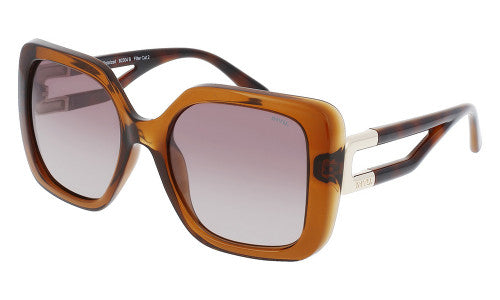 Invu Sunglasses Basic women's Transp. Brown/Gold B2304B