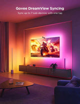 Govee Envisual TV Backlight 3S (55~65 inch) - H6098 (Netflix Edition)