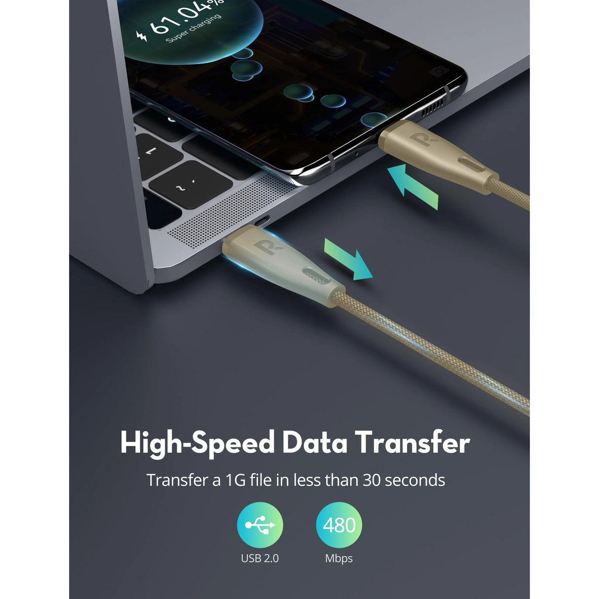 RAVPower RP-CB1037 60W C-C 1.2M USB2.0 3A Cable Gold