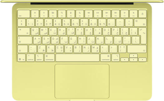 Apple MacBook Neo - 13" / A18 Pro / 6-core CPU / 5-core GPU / 16 Core Neural Engine / 8GB RAM / 256GB SSD / English - Arabic Keyboard Without Touch ID Citrus - 1YW / MHFD4AB