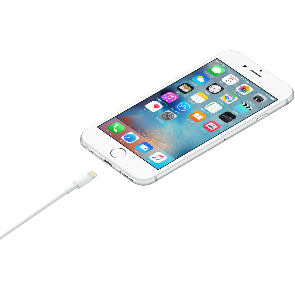 Apple Lightning to USB Cable (0.5 m) ME291 - Level UpLevel UpCharging Cable885909707973