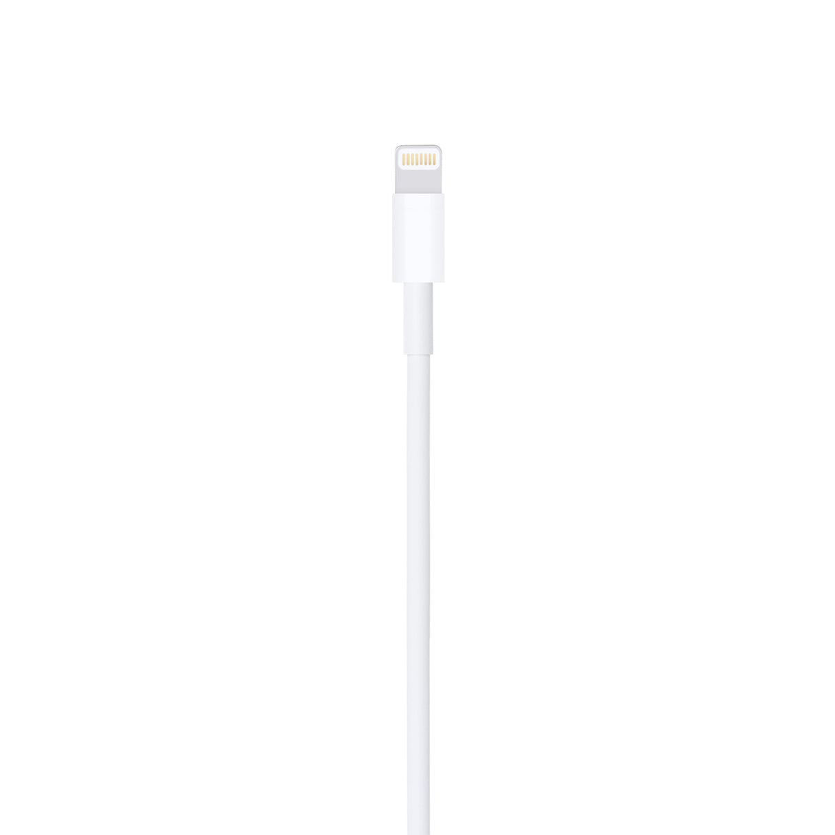 Apple Lightning to USB Cable (0.5 m) ME291 - Level UpLevel UpCharging Cable885909707973