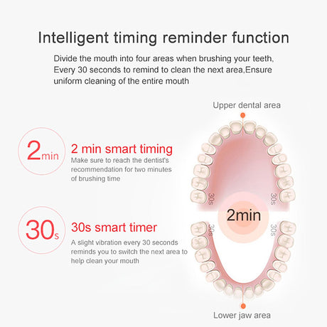 CintyB Sonic Electric Toothbrush - Level UpSonicToothbrushes20291