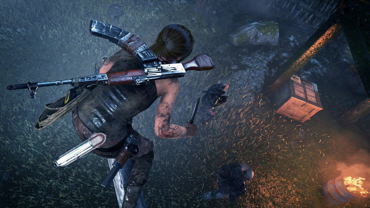 Rise of the Tomb Raider 20 Year Celebration For PlayStation 4 - Region 2